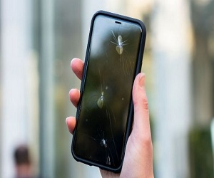 iphone 12 repair center calicut